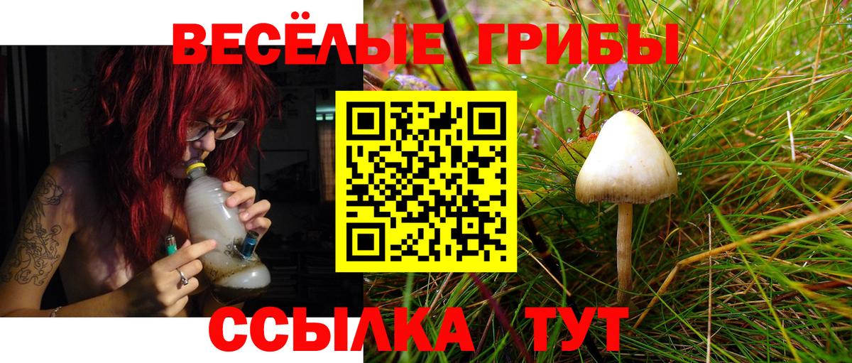 Псилоцибиновые грибы ЛСД  Галлюциногенные грибы Cubensis  Вход с VPN  Донецк 